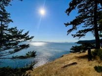 168 Cliffside JUST LISTED 